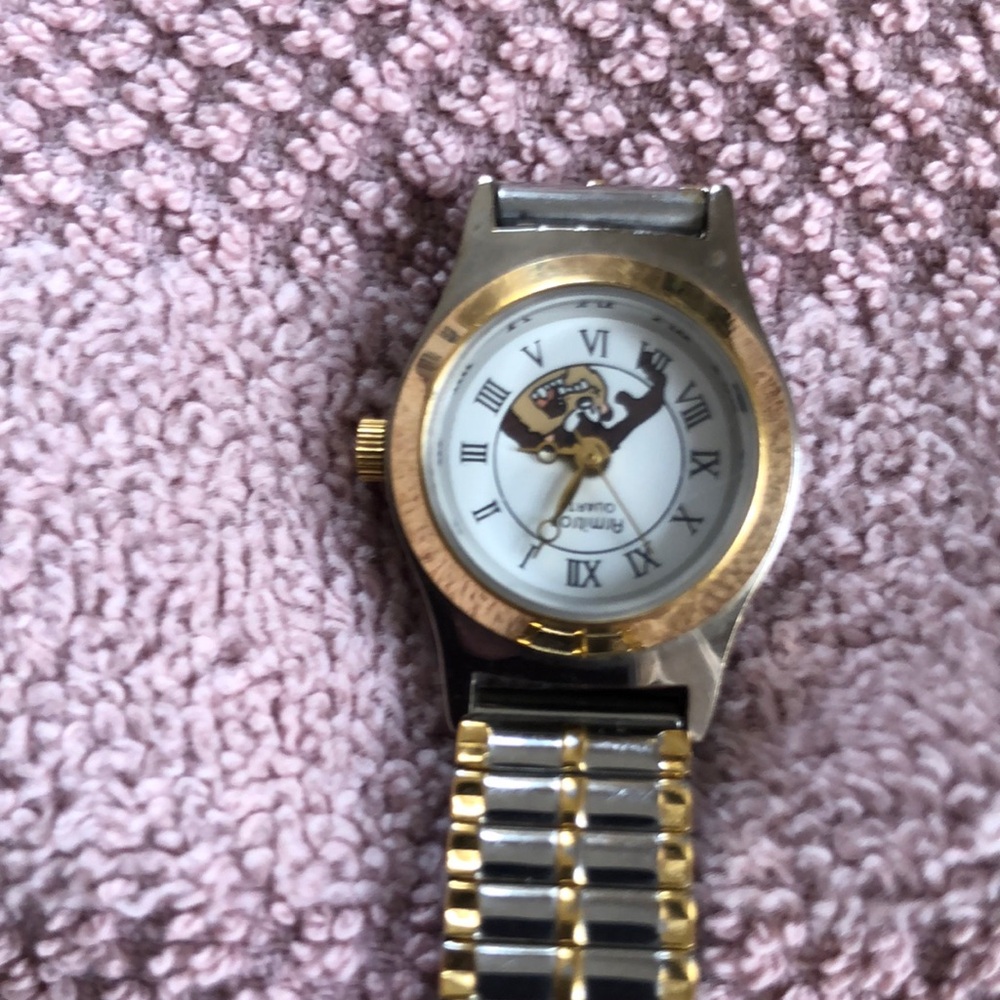 Tasman devil Amal faced watch. Needs new band. And battery. brand. Vintage